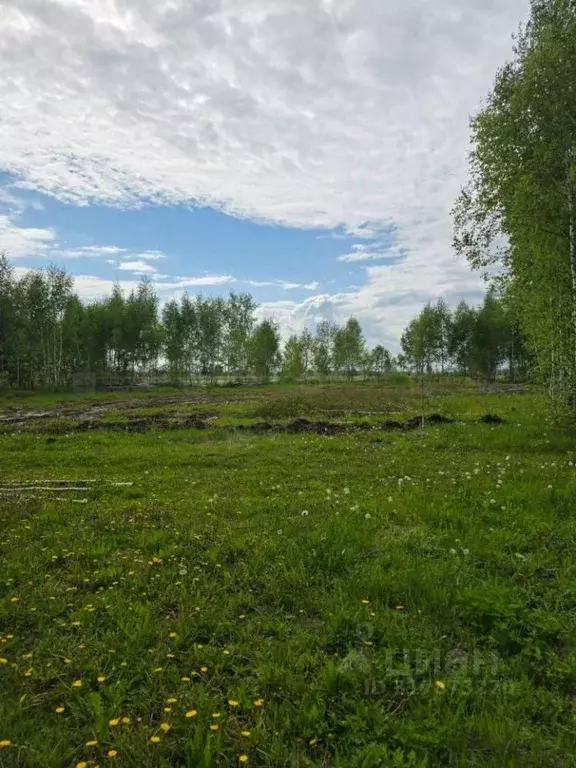 Участок в Татарстан, Казань Константиновка жилмассив, ул. Татарстан, 1 ... - Фото 0