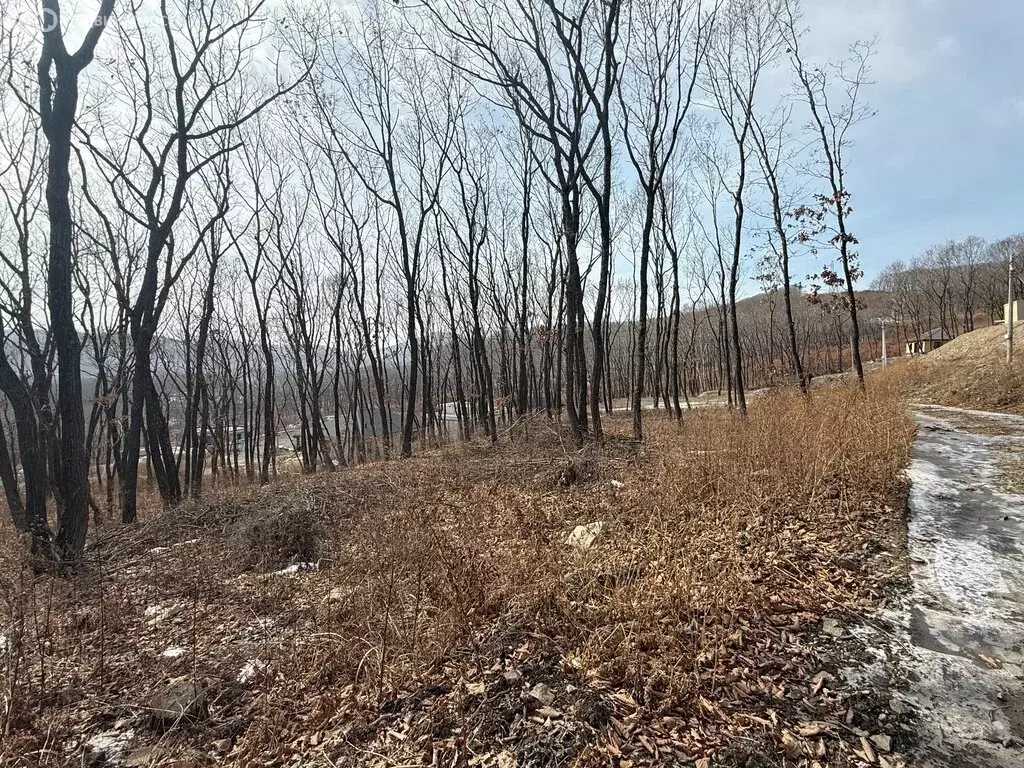 Участок в Приморский край, Находка (10 м) - Фото 2