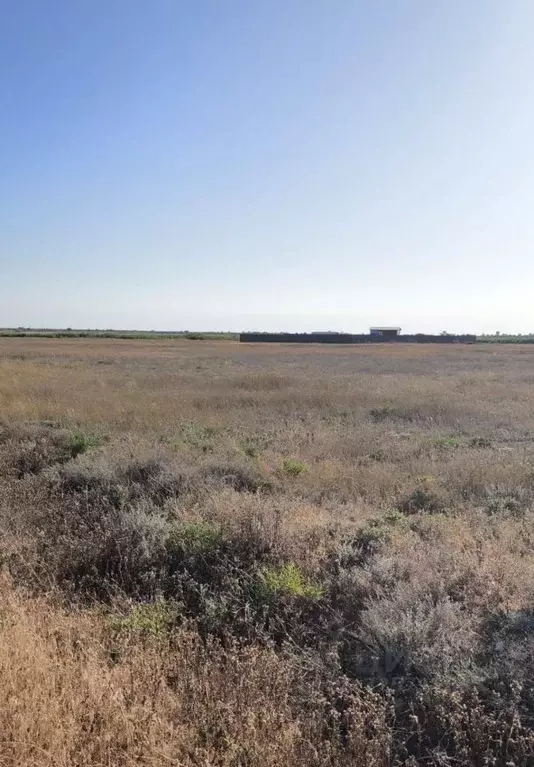 Участок в Крым, Сакский район, Молочненское с/пос, с. Витино  (200.0 ... - Фото 1