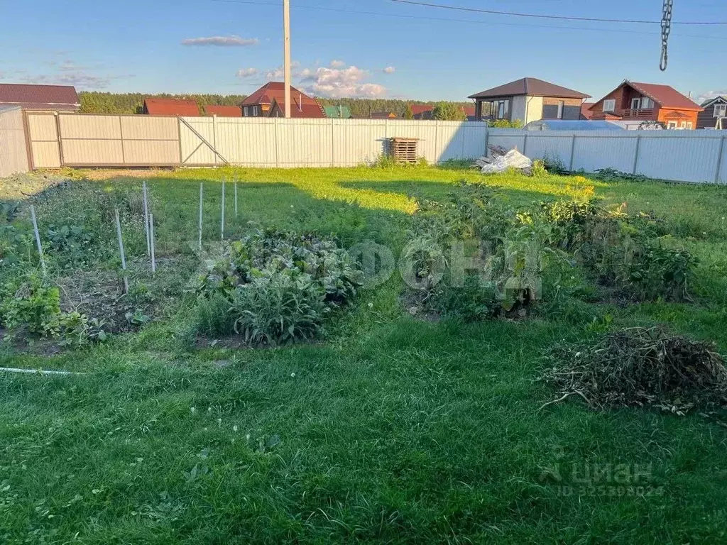 Участок в Новосибирская область, Новосибирский район, Кубовинский ... - Фото 1