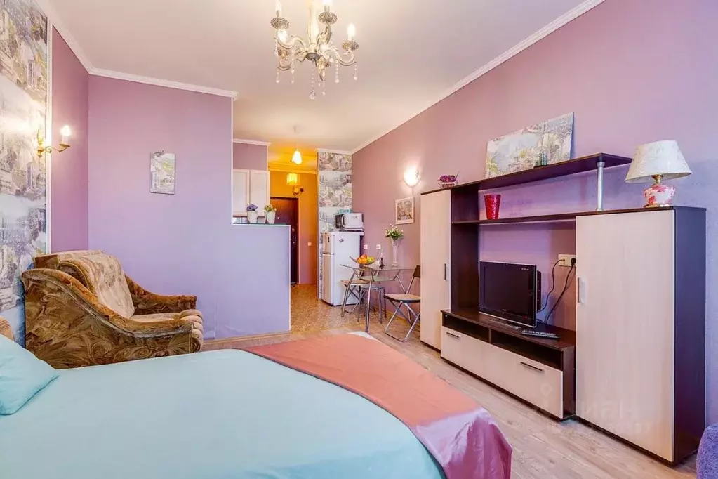 Студия Санкт-Петербург просп. Просвещения, 43 (28.0 м) - Фото 1