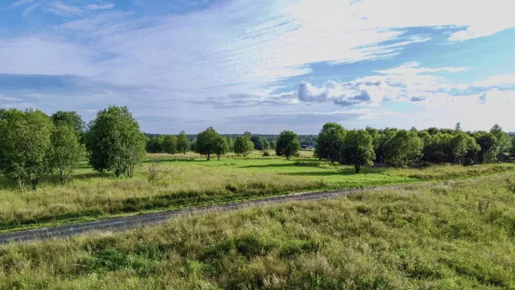 Участок в Ленинградская область, Всеволожский район, Куйвозовское ... - Фото 2