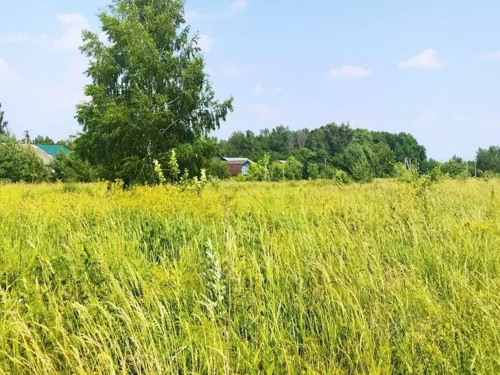 Участок в Тульская область, Ясногорский район, Иваньковское с/пос, д. ... - Фото 1