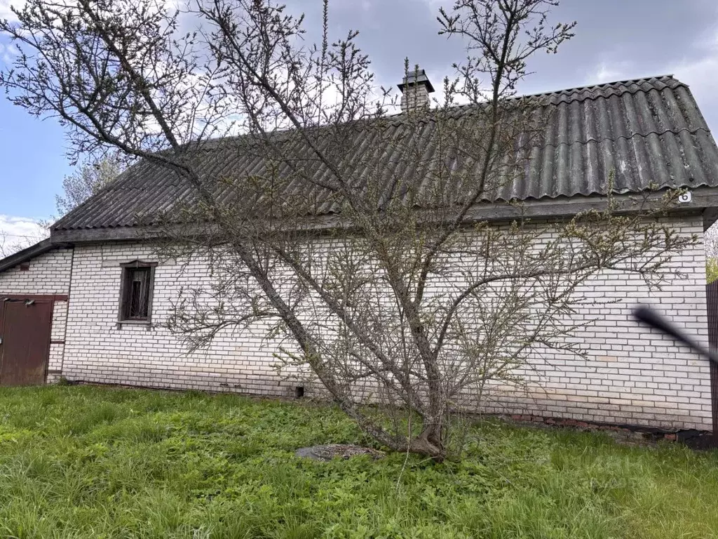 Дом в Ленинградская область, Лужский район, Скребловское с/пос, д. ... - Фото 2