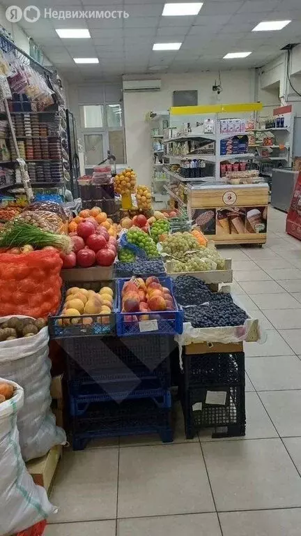 Помещение свободного назначения (100 м) - Фото 1