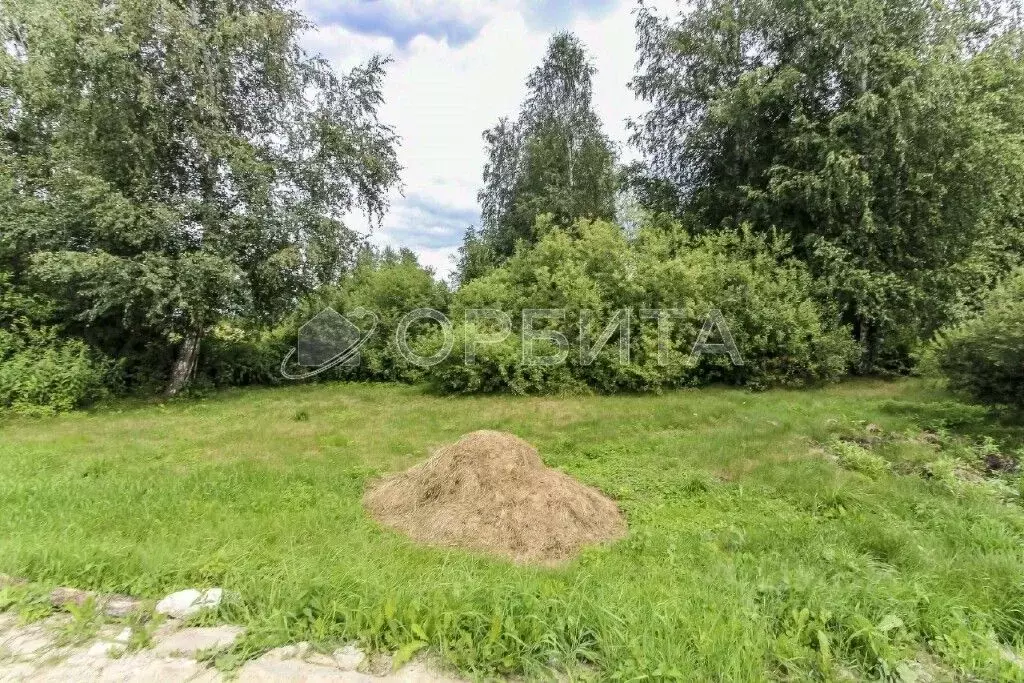 Участок в Тюменская область, Нижнетавдинский муниципальный округ, ... - Фото 2