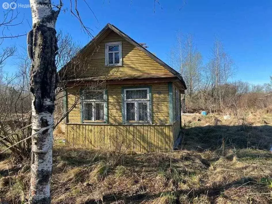 Участок в Новгородский муниципальный район, Панковское городское ... - Фото 1