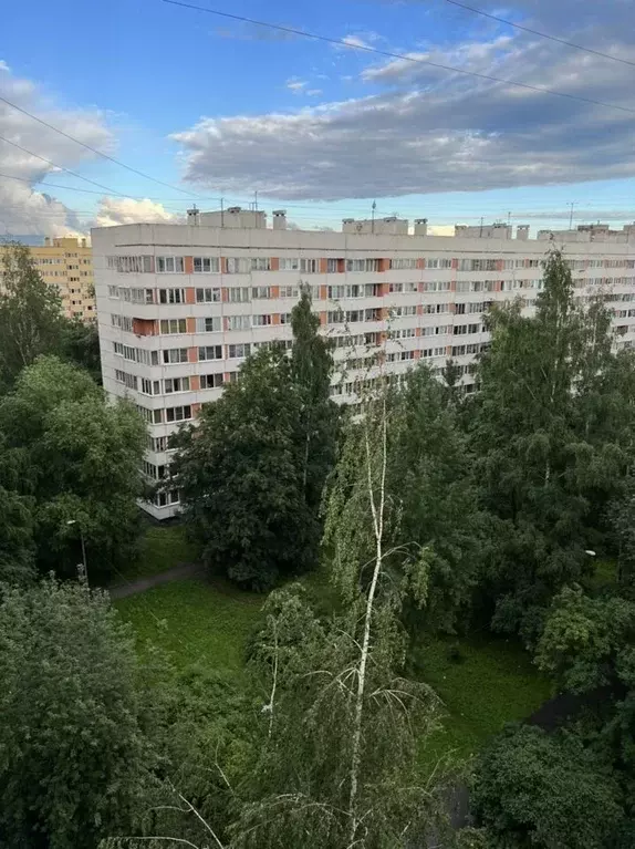Комната Санкт-Петербург Ленинский просп., 117К2 - Фото 2