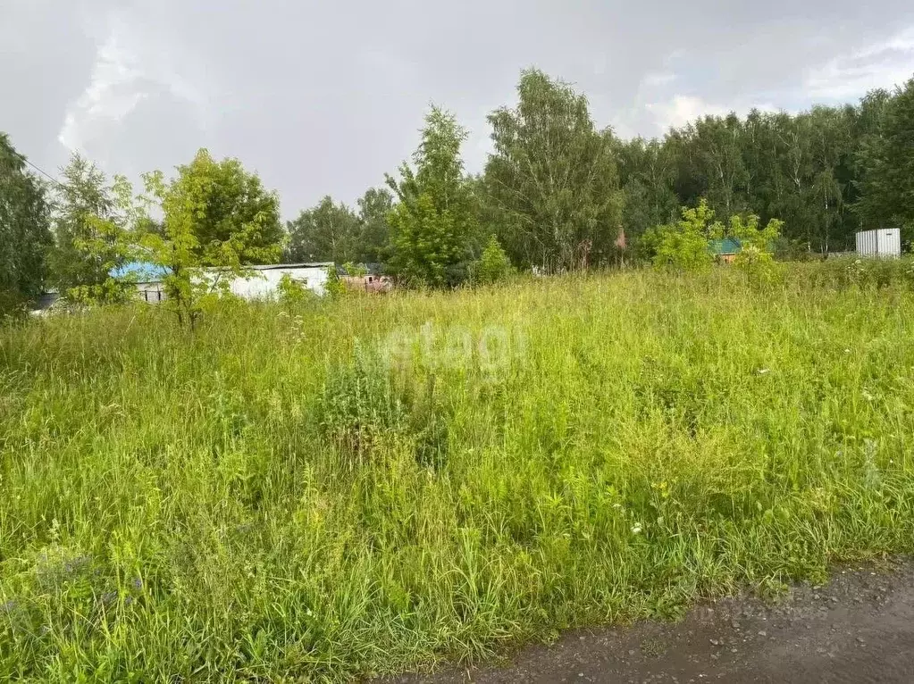 Участок в Новосибирская область, Колыванский район, Обские Просторы ... - Фото 2