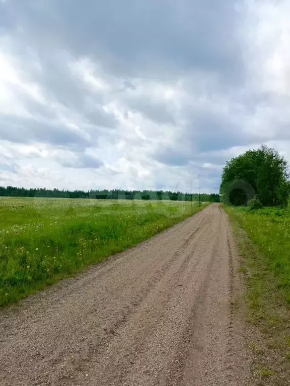 Участок 5,2 га (личное подсобное хозяйство (лпх)) - Фото 0