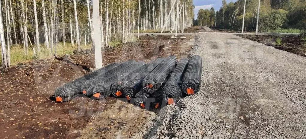 Участок в Тюменская область, Нижнетавдинский муниципальный округ, ... - Фото 2