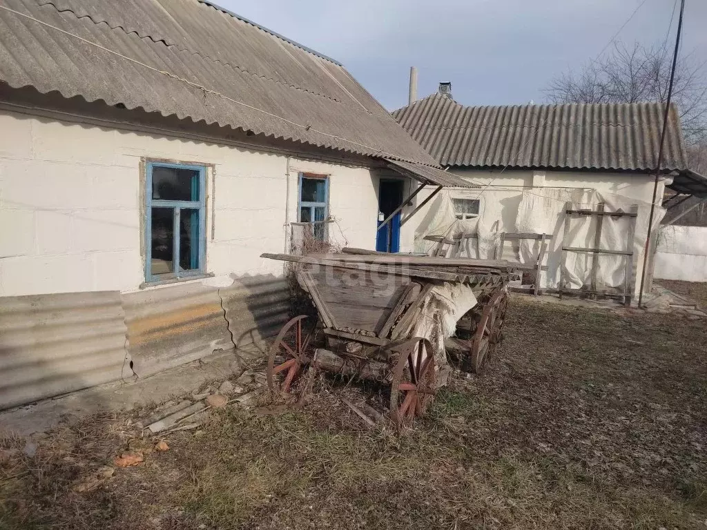 Дом в Белгородская область, Красногвардейский район, Веселовское ... - Фото 1