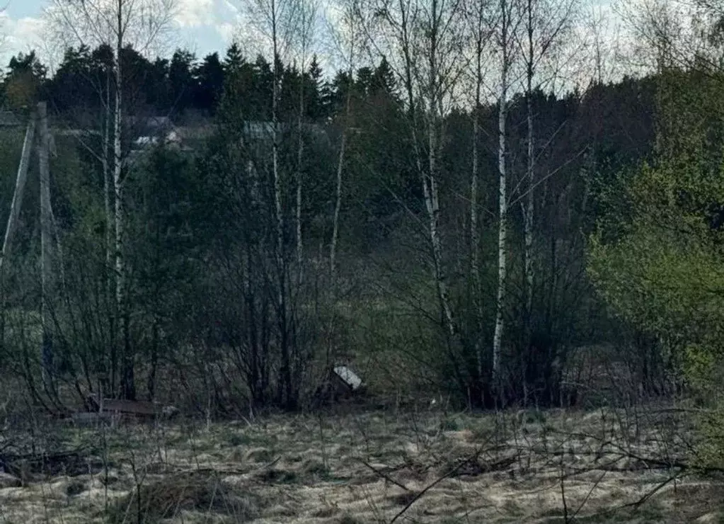 Участок в Московская область, Солнечногорск городской округ, д. ... - Фото 0