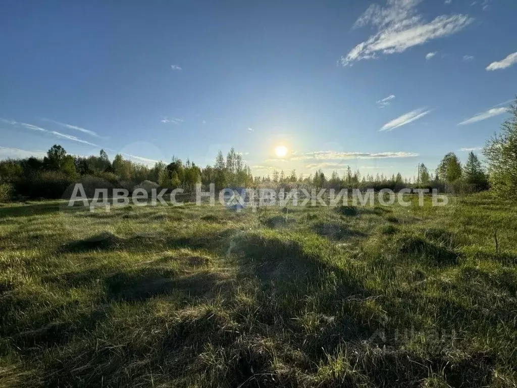 Участок в Тюменская область, Тюменский район, с. Каменка  (6.51 сот.) - Фото 0