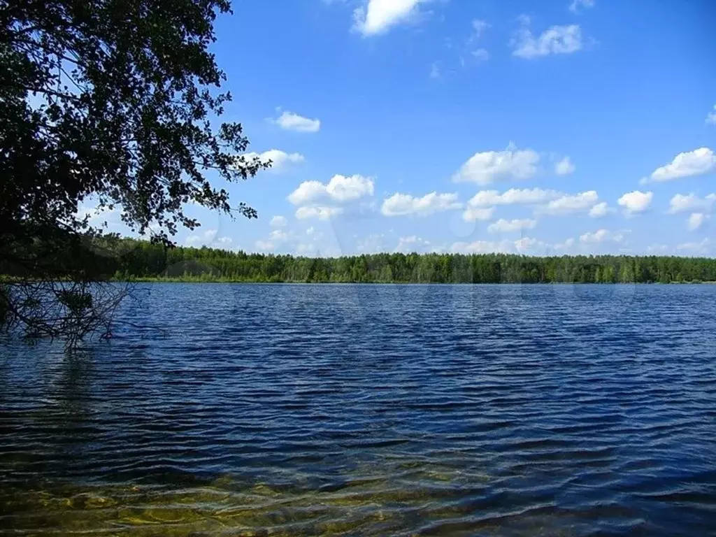 Озеро белое шатурский район фото Участок 6.2 га (промназначения), Купить земельный участок Липин Бор, Вашкинский 