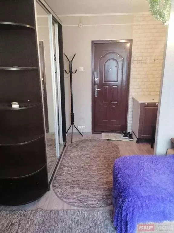 Комната Краснодарский край, Новороссийск ул. Видова, 182 (16.0 м) - Фото 1