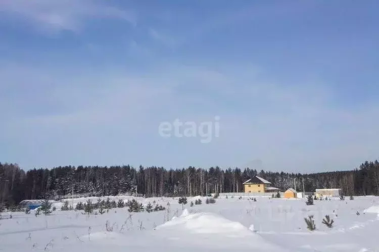 Участок в Свердловская область, Горноуральский городской округ, с. ... - Фото 1