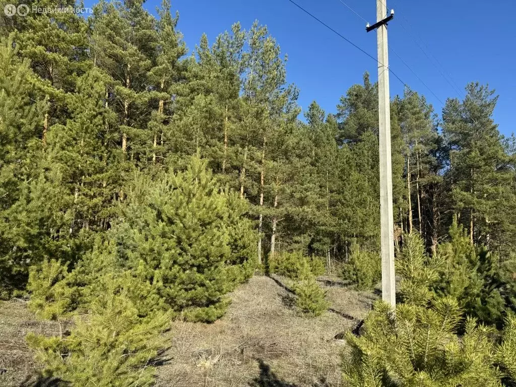 Участок в село Сухотинка, улица Сурёнка (18.44 м) - Фото 1