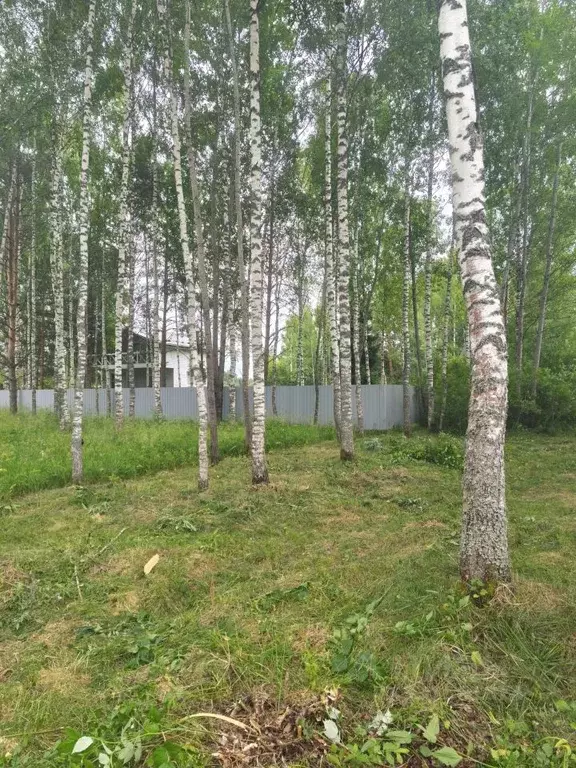 Участок в Московская область, Талдомский городской округ, д. Гусенки  ... - Фото 2
