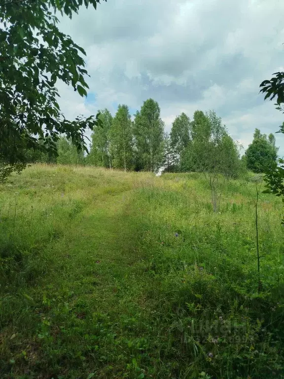 Участок в Новгородская область, Валдайский район, Ивантеевское с/пос, ... - Фото 1