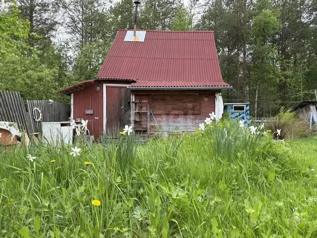 Дом в Архангельская область, Архангельск Чайка СТ,  (25 м) - Фото 1