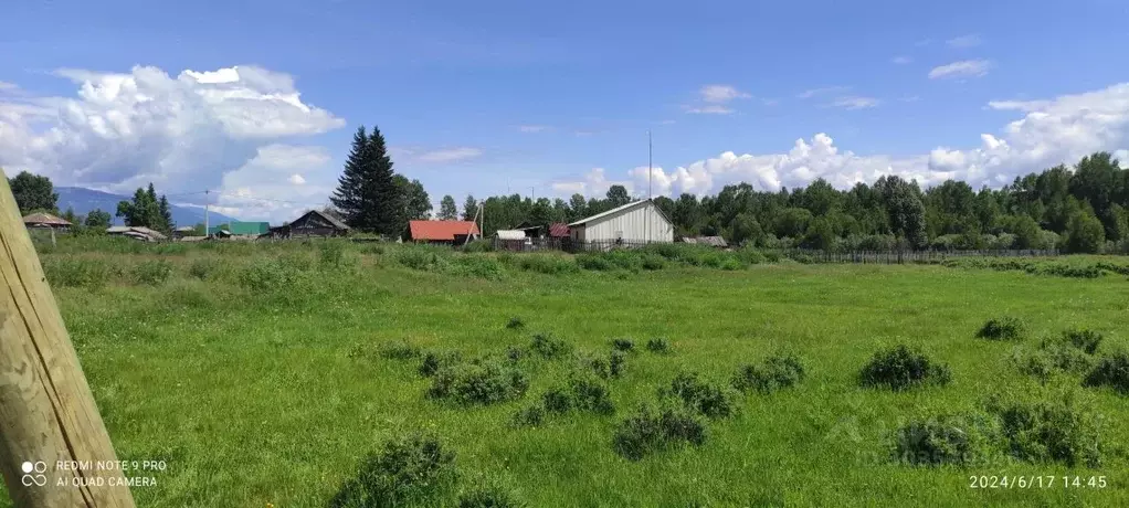 Участок в Алтай, Усть-Коксинский район, с. Горбуново  (14.0 сот.) - Фото 1