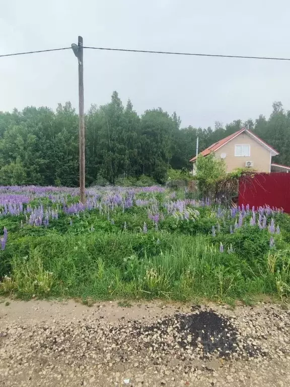 Участок в Владимирская область, Киржачский муниципальный округ, ... - Фото 1