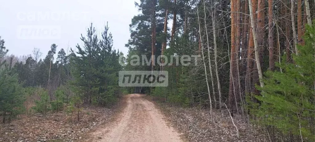Дом в Тюменская область, Нижнетавдинский район, Аракчино СНТ  (54 м) - Фото 1