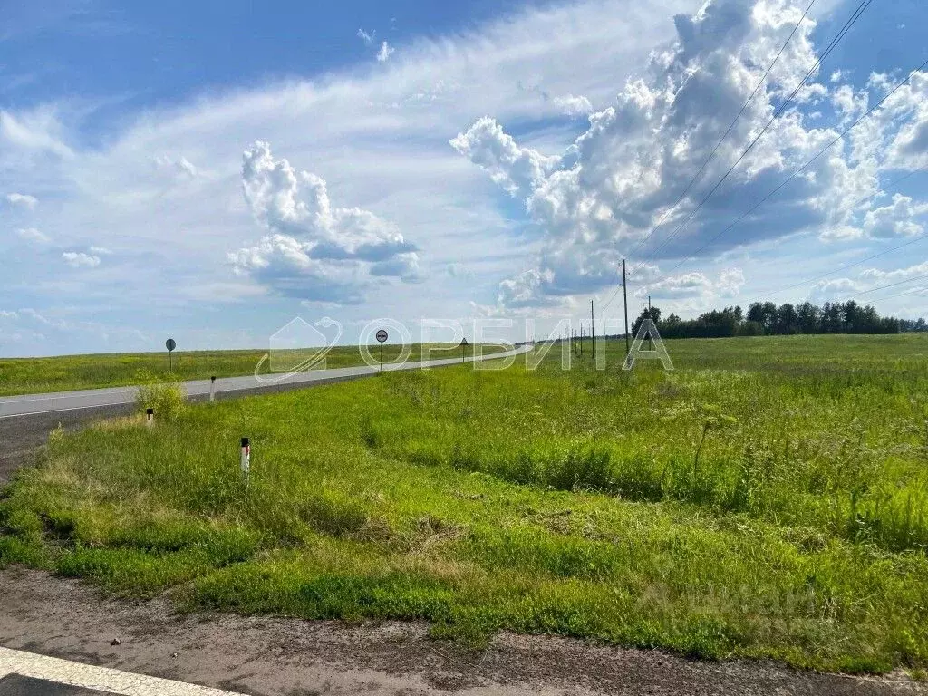 Участок в Тюменская область, Тюменский муниципальный округ, с. ... - Фото 2