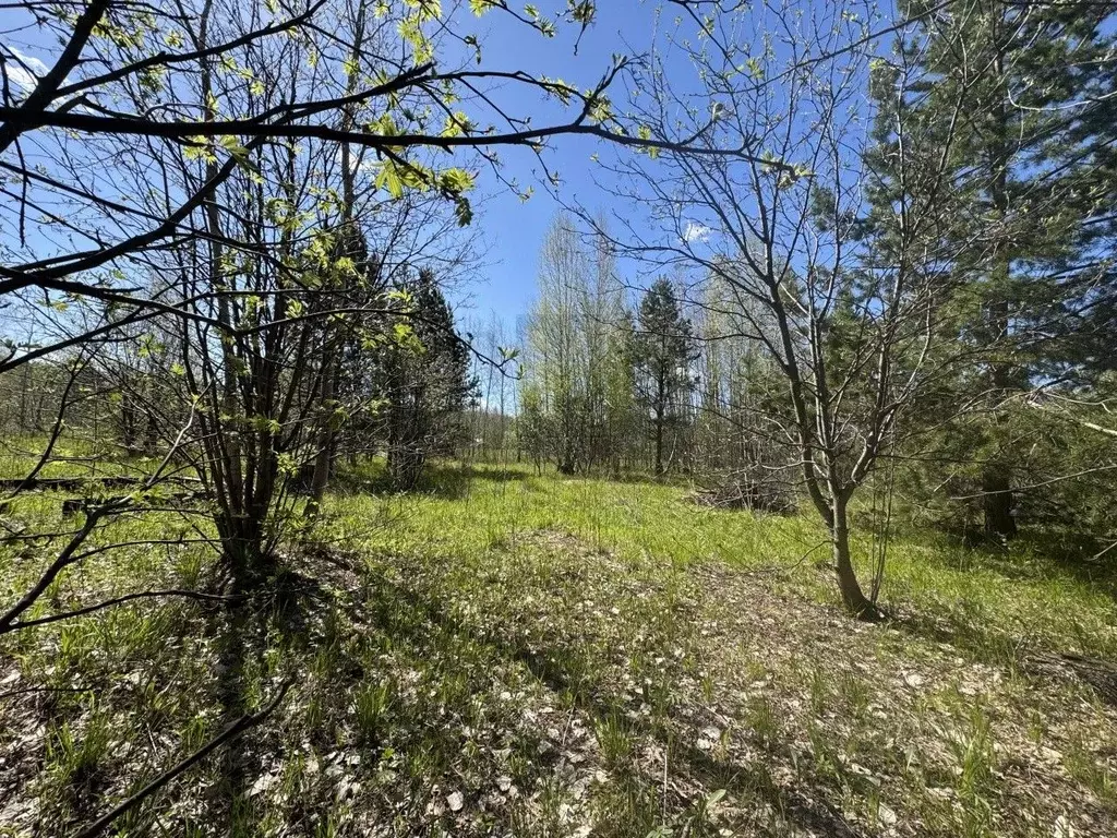 Участок в Свердловская область, Екатеринбург Рассвет СНТ, 54 (6.35 ... - Фото 0