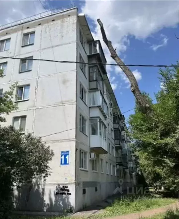 3-к кв. Оренбургская область, Оренбург Туркестанская ул., 11 (61.3 м) - Фото 1