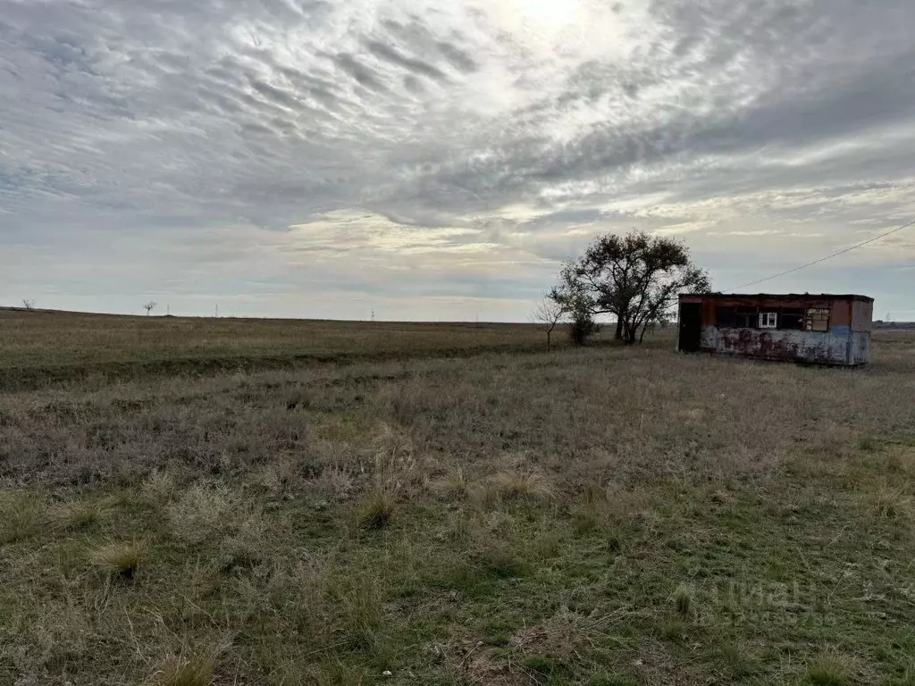 Участок в Волгоградская область, Волгоград ул. Трюфельная, 35 (6.64 ... - Фото 2