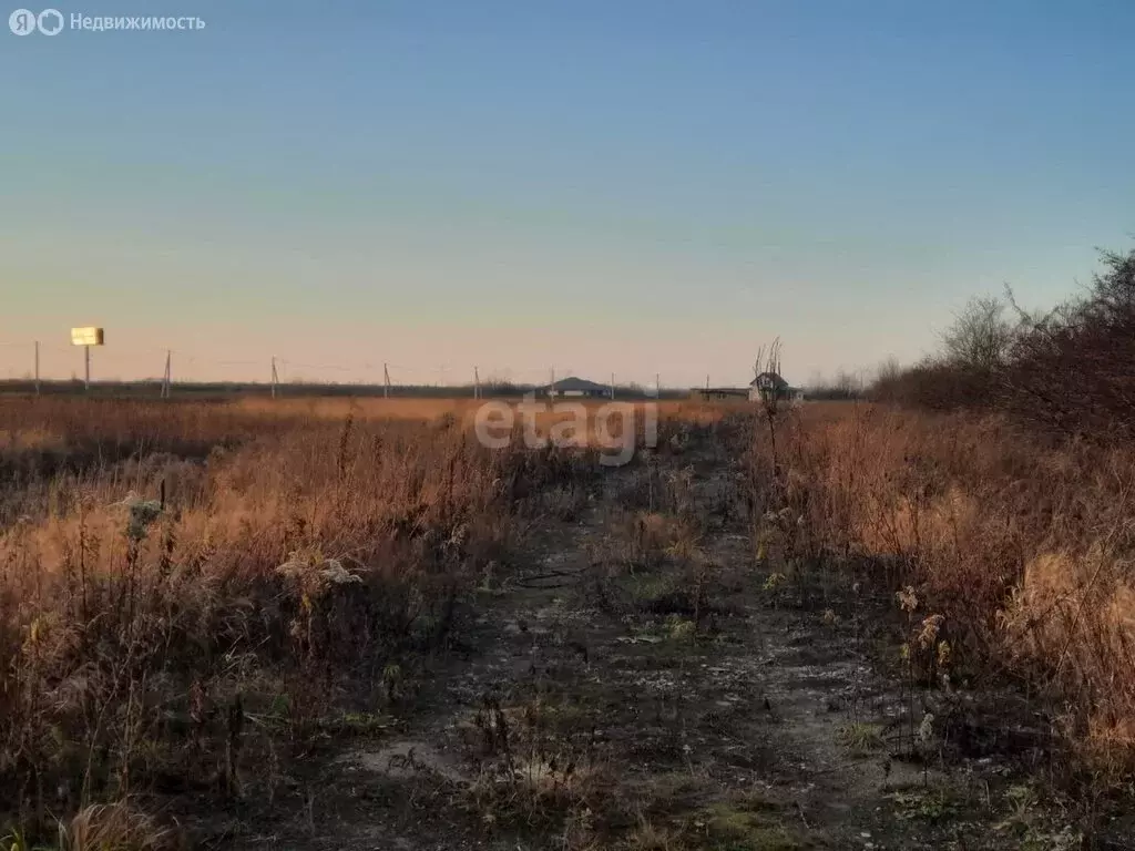 Участок в Калининградская область, Гурьевский муниципальный округ, ... - Фото 1