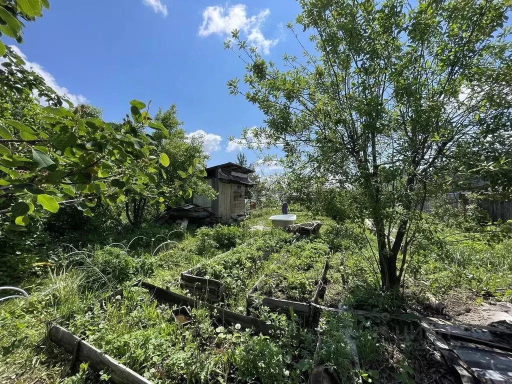 Дом в Свердловская область, Полевской Малахова Гора СНТ, ул. 3-я (20 ... - Фото 1