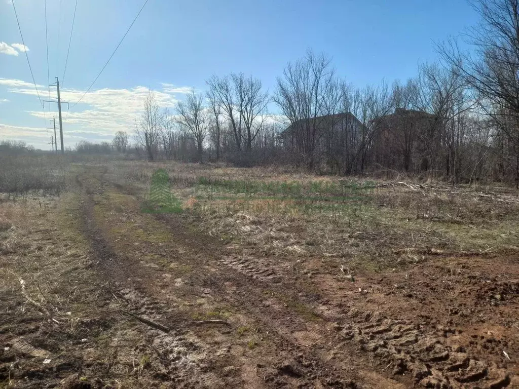 Участок в Саратовская область, Энгельсский район, Красноярское ... - Фото 2