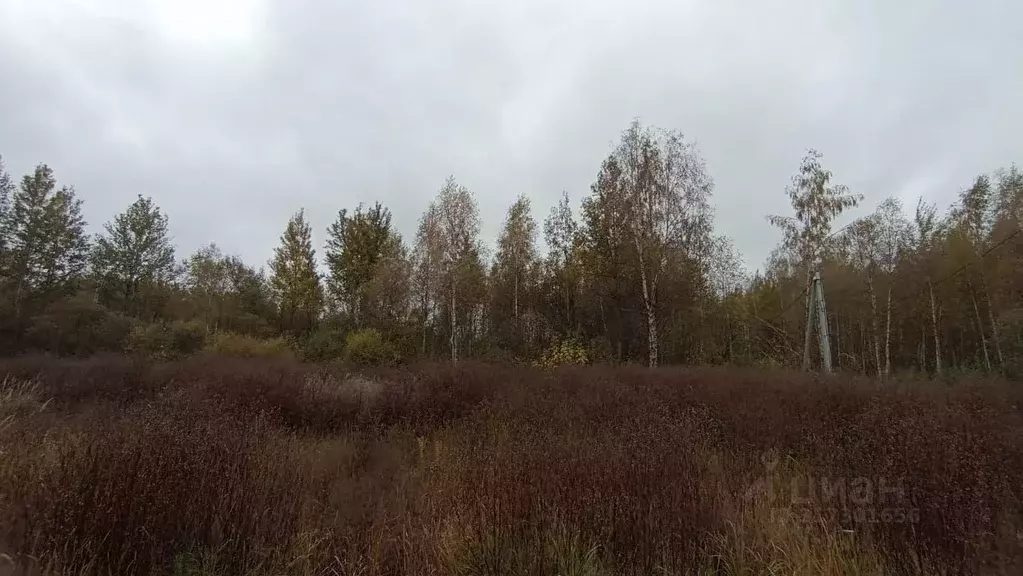 Участок в Московская область, Шатура  (6.0 сот.) - Фото 0