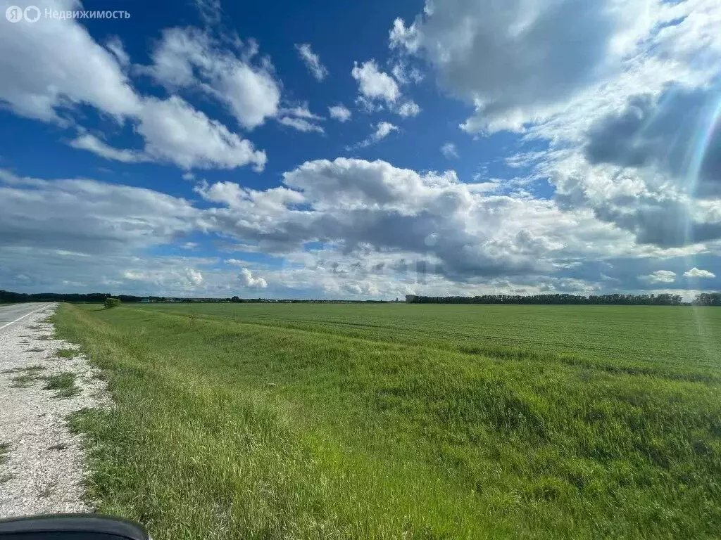 Участок в Колыванский район, деревня Малый Оеш (8 м) - Фото 0