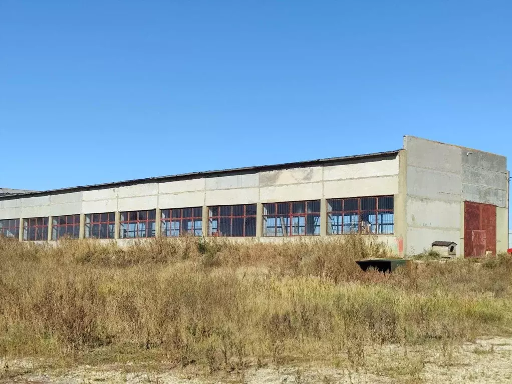 Производственное помещение в Саратовская область, с. Сторожевка ул. ... - Фото 2