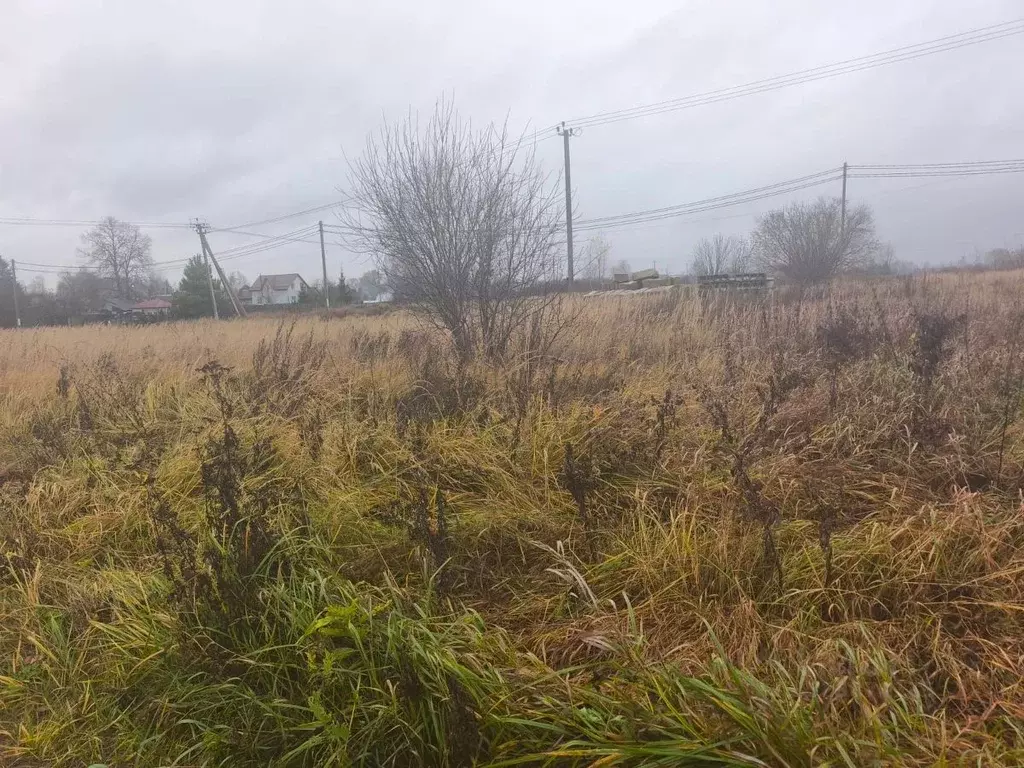 Участок в Московская область, Орехово-Зуевский городской округ, д. ... - Фото 2