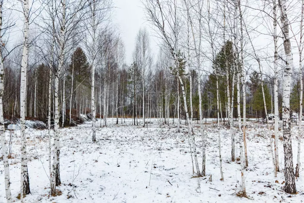 Дом в Тюмень, Рублёвская улица, 57к17 (90 м) - Фото 1