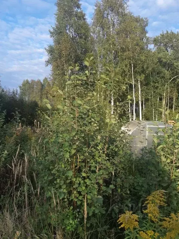 Участок в Ленинградская область, Кировский район, Мгинское городское ... - Фото 0
