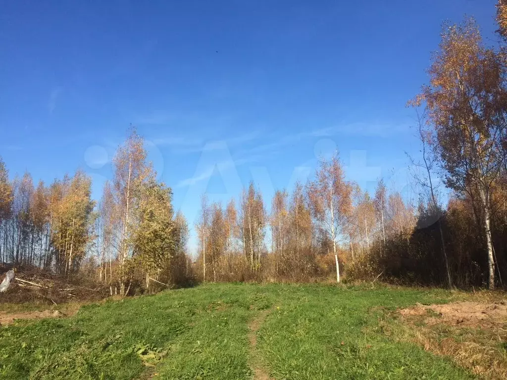 Старая русса участки. Старая русса участки. Земельный участок на берегу реки. Старая русса участки. Участки от собственника.