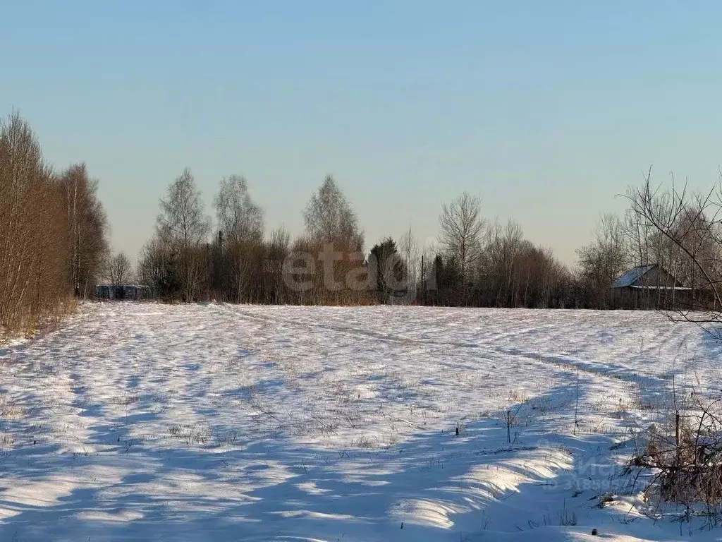 Участок в Московская область, Наро-Фоминский городской округ, д. ... - Фото 0