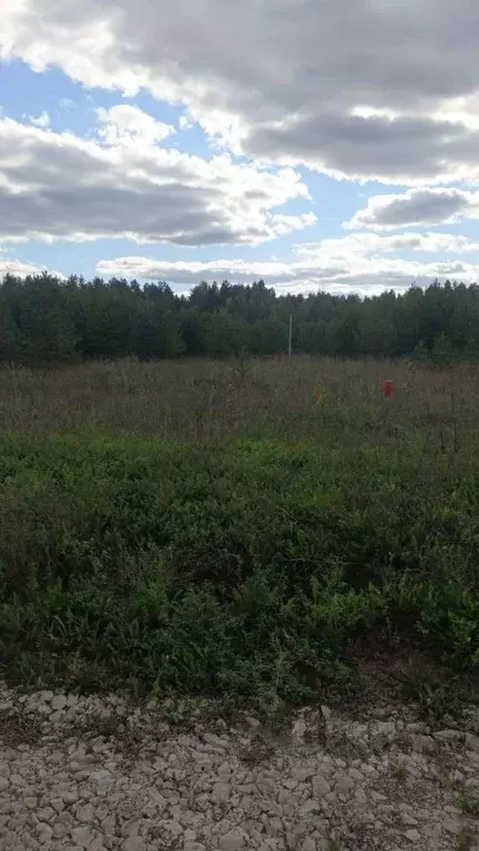 Участок в Кировская область, Киров городской округ, д. Олинцы ул. ... - Фото 1