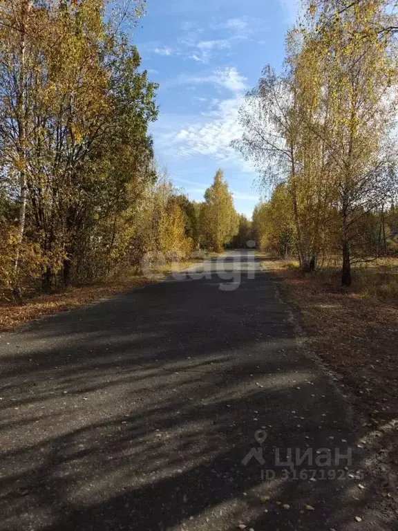 Дом в Владимирская область, Муром д. Грибково, ул. Дачная, 113 (33 м) - Фото 0