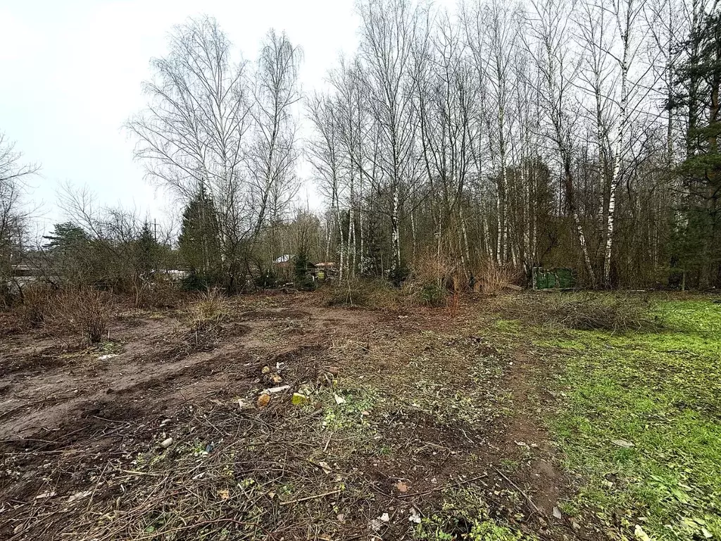 Участок в Московская область, Одинцовский городской округ, Серебряные ... - Фото 2