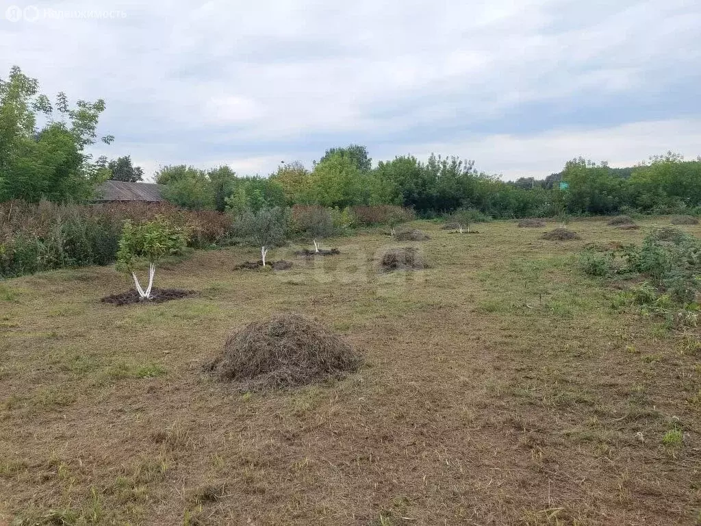 Участок в Новые Ишлы, улица Мира (39.88 м) - Фото 1