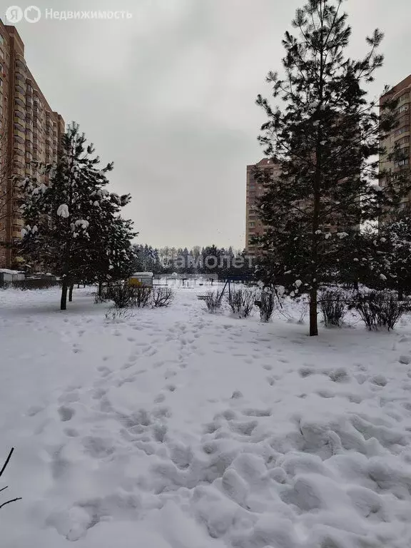 3-комнатная квартира: деревня Щемилово, улица Орлова, 2 (66 м) - Фото 2