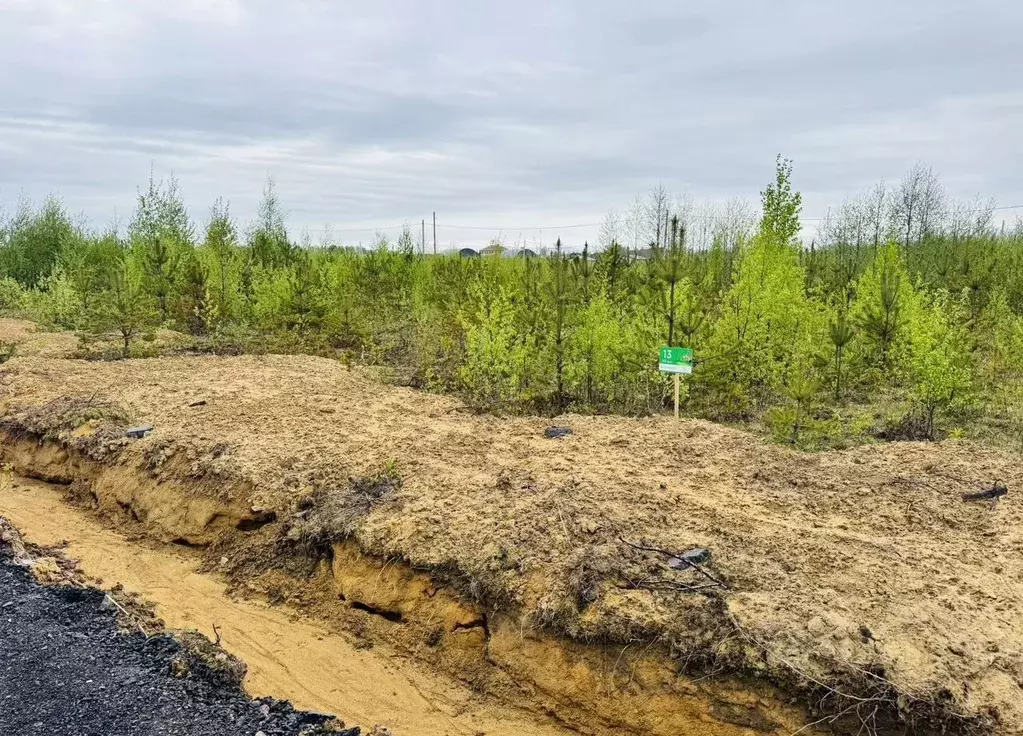 Участок в Ленинградская область, Всеволожский район, Агалатовское ... - Фото 1