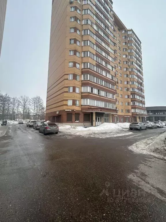 Помещение свободного назначения в Московская область, Ногинск ... - Фото 1